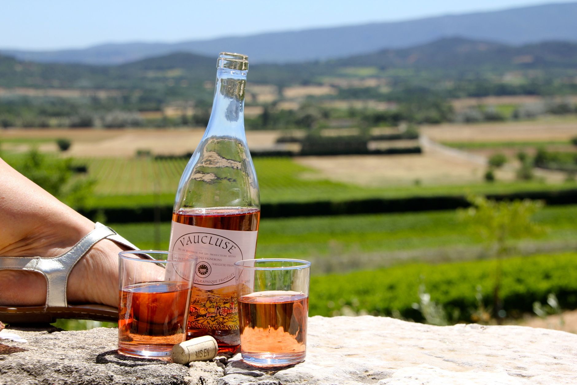 Dégustation de vin en Provence dans un vignoble d'exception