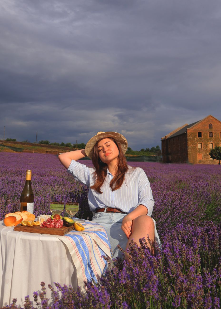 Route des vins en Provence